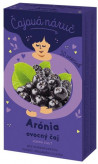 Čaj LEROS ovocný Čajová náruč arónia 20 x 1 g