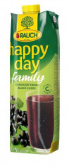 Džús Happy Day Family Čierna ríbezľa 25% 1 ℓ