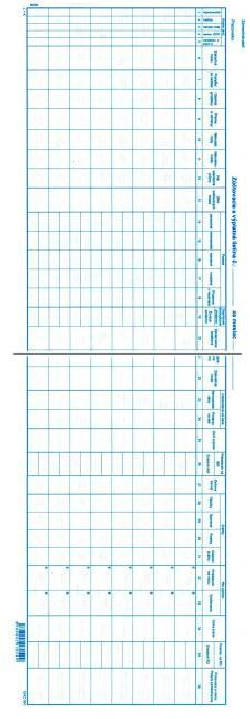 Výplatná listina, 57x21cm