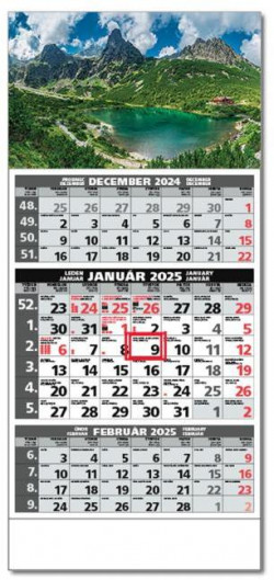 Plánovací kalendár ŠTANDARD 3M sivý 2025