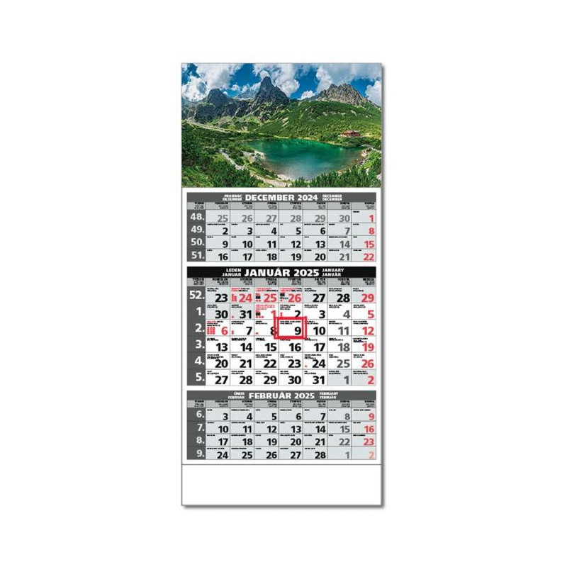 Plánovací kalendár ŠTANDARD 3M sivý 2025