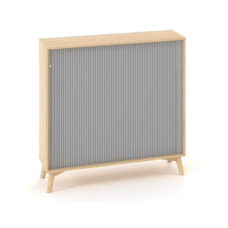 Policová skriňa ALFA ROOT s del.priečkou, žalúziové dvere RAL9010, 2 police, 120x45x121,5cm, dub