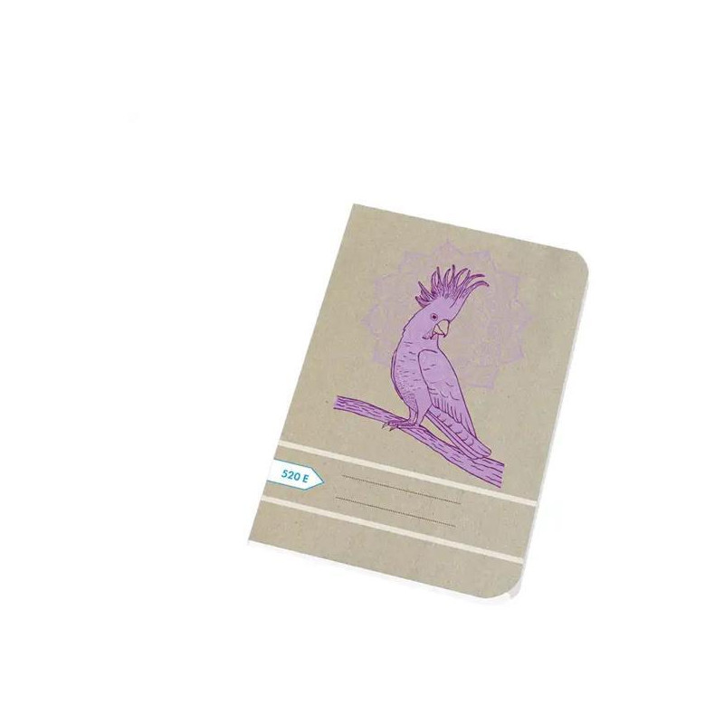 Zošit 520, A5, 20 listov čistý Ecology