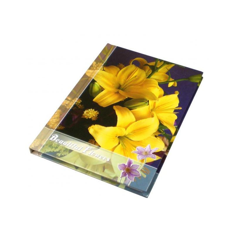 Záznamová kniha A4 100 listov linajková