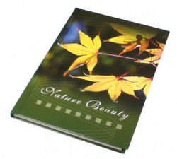 Záznamová kniha A5 100 listov linajková