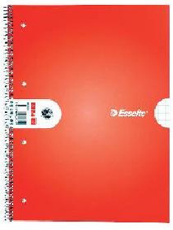 Blok College Esselte A4 70 listov štvorčekový