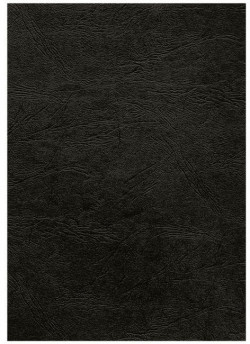 Kartónové obálky na krúžkovú väzbu Delta koža A3 čierne