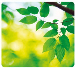 Podložka pod myš Listy