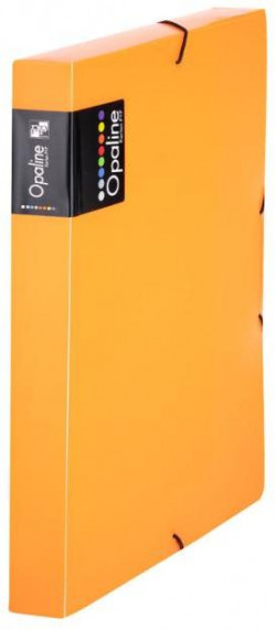 Plastový box s gumičkou Karton PP Opaline oranžový