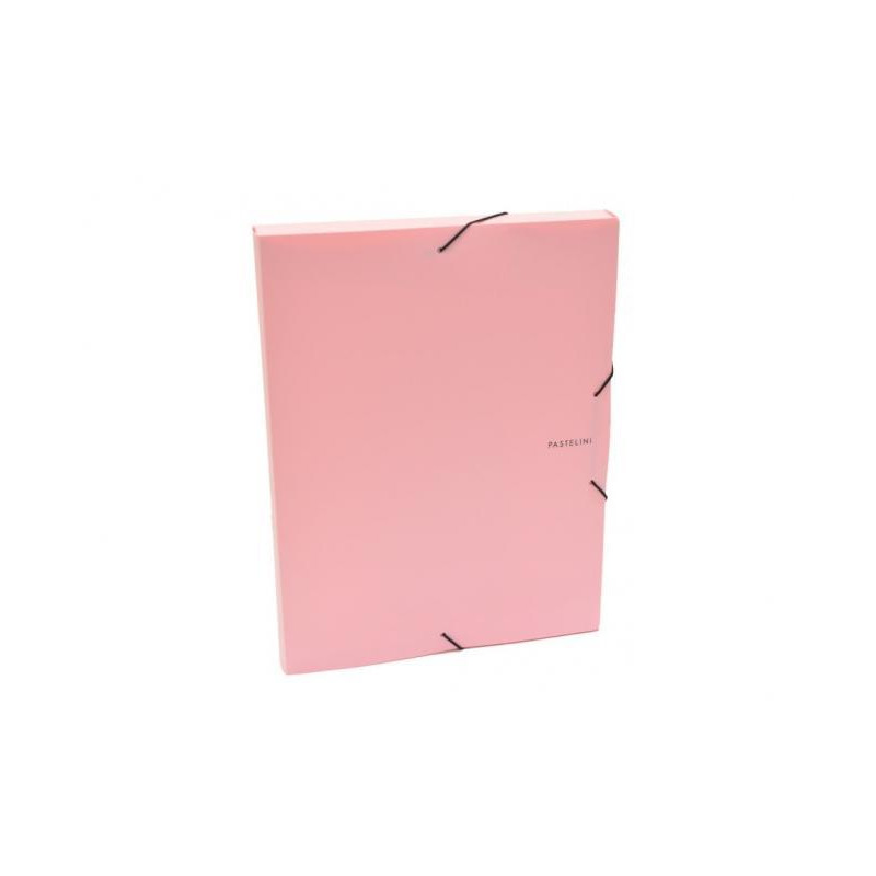 Plastový box s gumičkou Karton PP Pastelini ružový