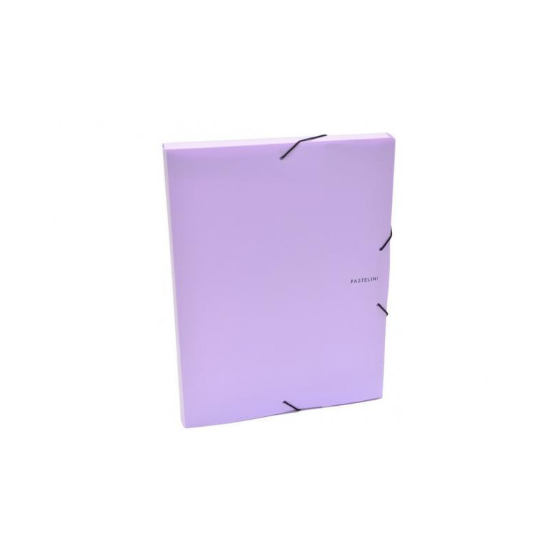 Plastový box s gumičkou Karton PP Pastelini fialový