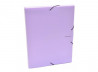 Plastový box s gumičkou Karton PP Pastelini fialový