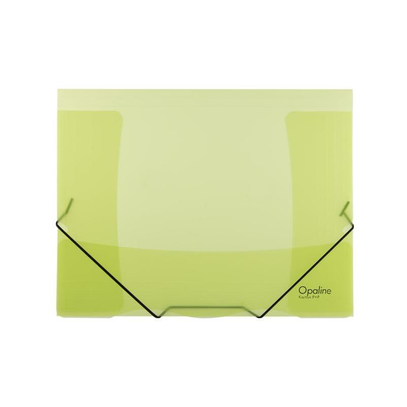 Plastový obal s gumičkou Karton PP Opaline zelený