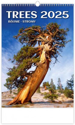 Nástenný kalendár Stromy 31,5 x 45 cm 2025