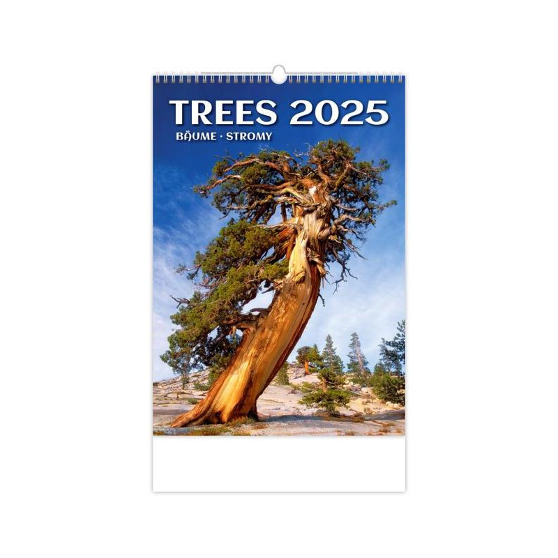 Nástenný kalendár Stromy 31,5 x 45 cm 2025